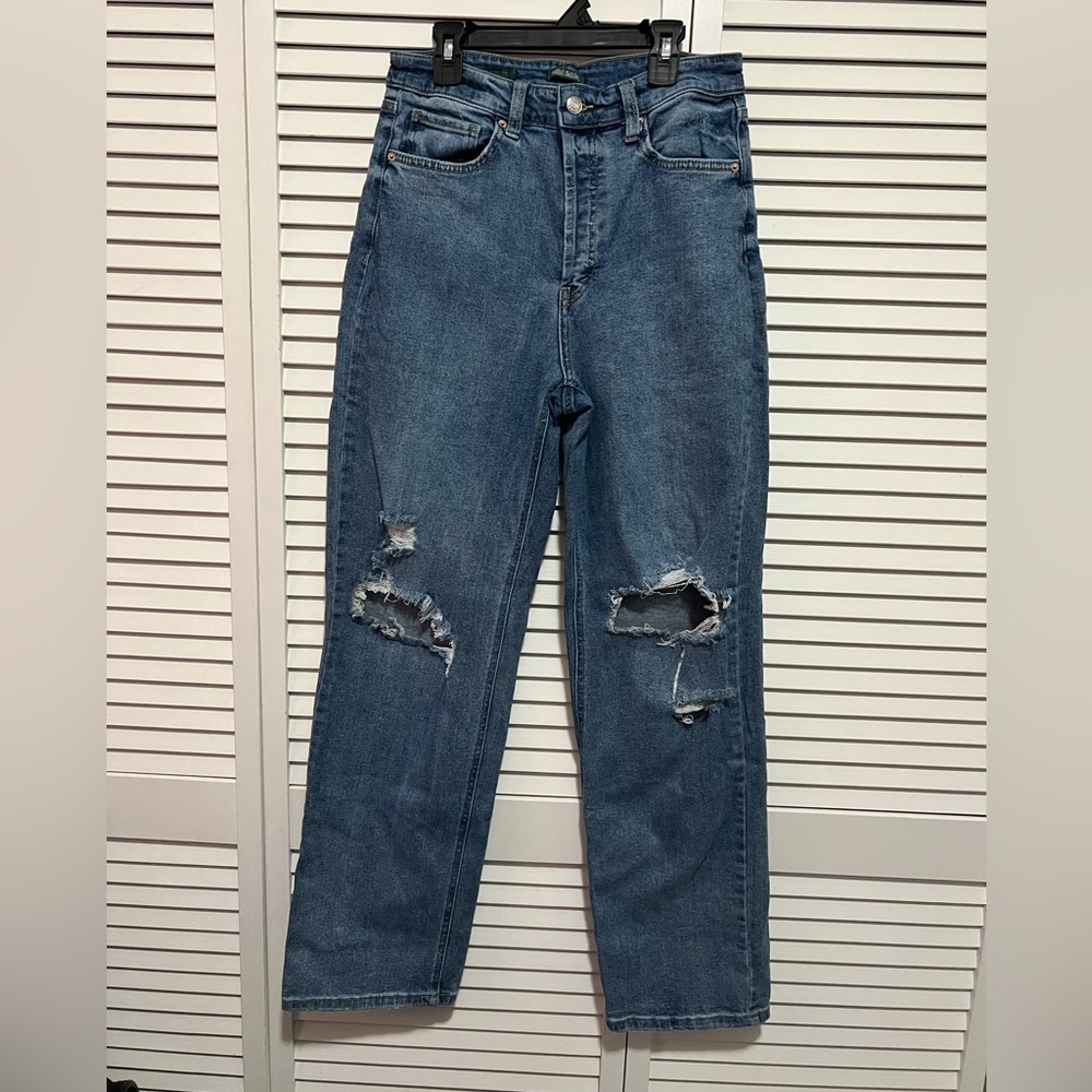 Wild Fable Ripped Straight Leg Jeans in Blue